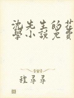 沈先生的花式教学小说免费