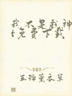 我不是戏神txt免费下载封面