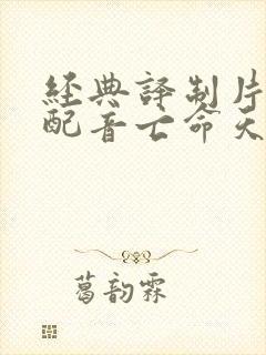 经典译制片国语配音亡命天涯