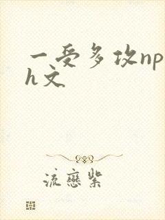 一受多攻np肉h文