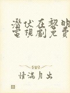 潜伏在黎明之前电视剧免费看全集