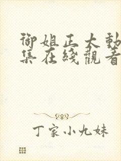 御姐正太动漫全集在线观看免费