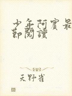 少年阿宾最新章节阅读