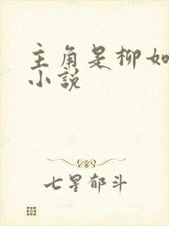 主角是柳如烟的小说封面