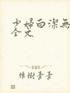 少妇白洁无删减全文