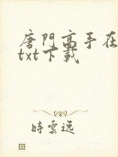 唐门高手在异世txt下载