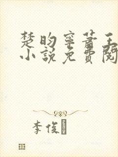 楚昀宁萧王穿越小说免费阅读无弹窗