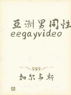 亚洲男同性freegayvideo