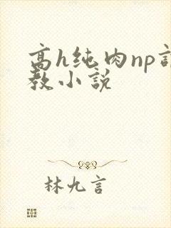 高h纯肉np调教小说封面