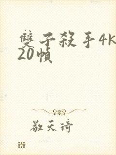 双子杀手4k120帧