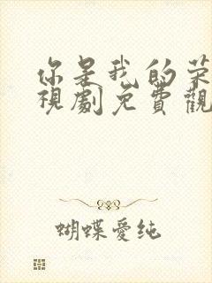 你是我的荣耀电视剧免费观看高清