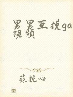 男男互摸gay视频