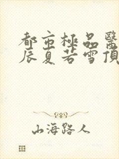 都市极品医神叶辰夏若雪顶点小说网