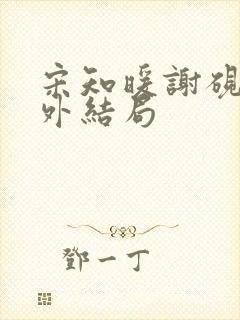 宋知暖谢砚京番外结局