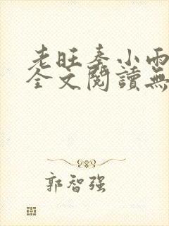 老旺秦小雨小说全文阅读无弹窗