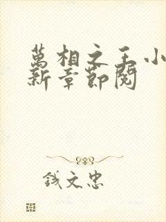 万相之王小说最新章节阅