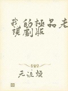 我的极品老婆电视剧版