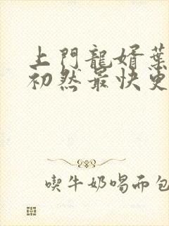 上门龙婿叶辰萧初然最快更新章节封面