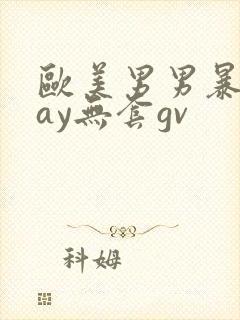 欧美男男暴菊gay无套gv