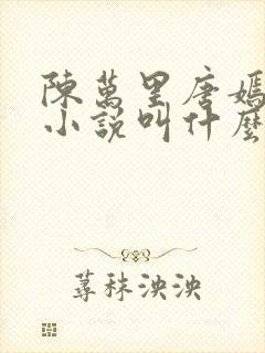 陈万里唐嫣然的小说叫什么