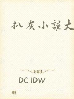 扒灰小说大全封面