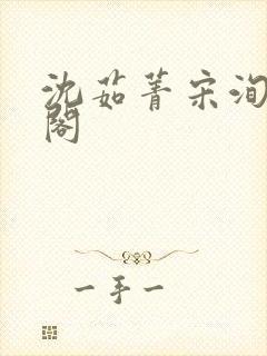 沈茹菁宋洵笔趣阁