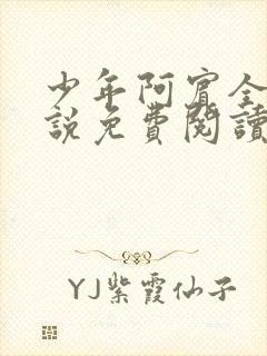 少年阿宾全文小说免费阅读笔趣阁