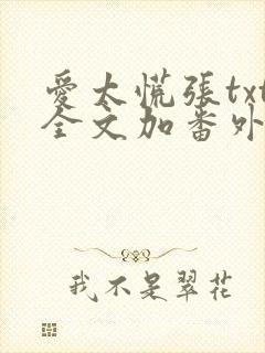 爱太慌张txt全文加番外