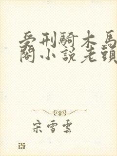 受刑骑木马笔趣阁小说老头文