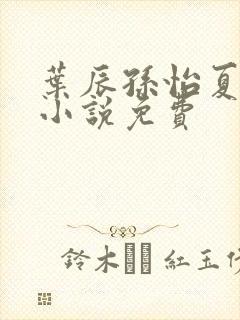 叶辰孙怡夏若雪小说免费