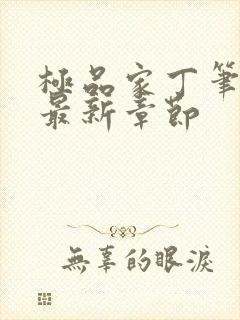 极品家丁笔趣阁最新章节