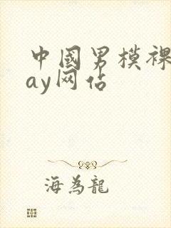 中国男模裸男gay网站