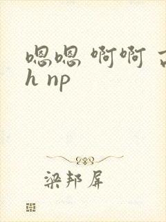 嗯嗯 啊啊 高h np