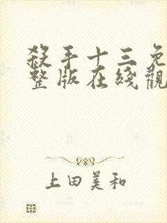 杀手十三免费完整版在线观看