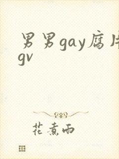男男gay腐片gv