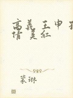 高义 王申 孙倩 美红封面