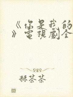 《你是我的荣耀》电视剧全集免费