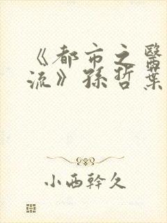《都市之医武风流》孙哲叶巧