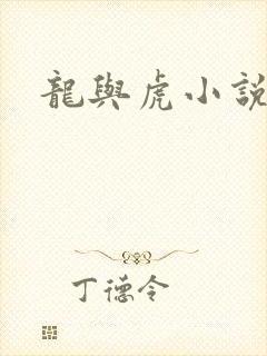 龙与虎小说封面