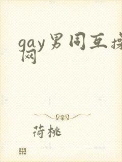 gay男同互操网