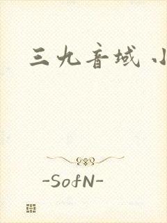 三九音域 小说