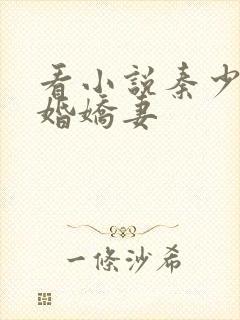 看小说秦少的闪婚娇妻