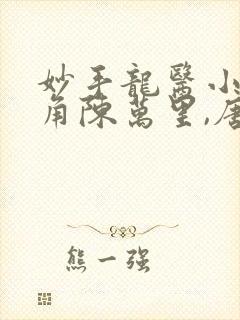 妙手龙医小说主角陈万里,唐嫣然封面