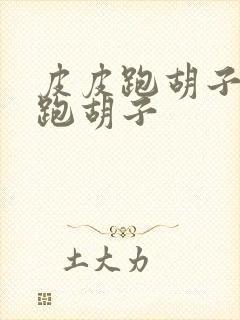 皮皮跑胡子皮皮跑胡子