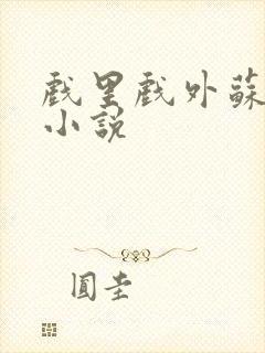 戏里戏外苏玛丽小说