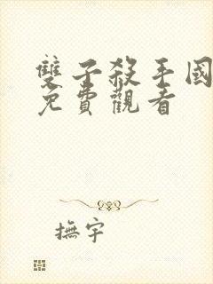 双子杀手国语版免费观看