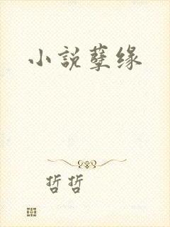 小说孽缘