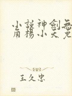 小说神剑无敌主角杨小天免费阅读