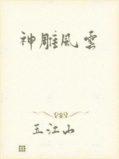 神雕风云