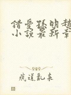 错爱孙明赵兰梅小说最新章节